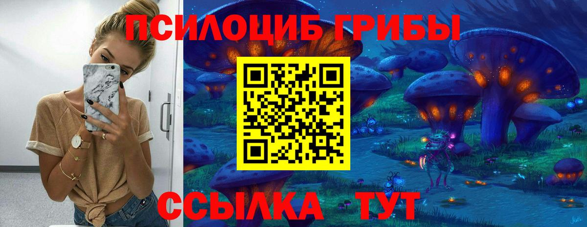 Псилоцибиновые грибы мицелий Усть-Илимск