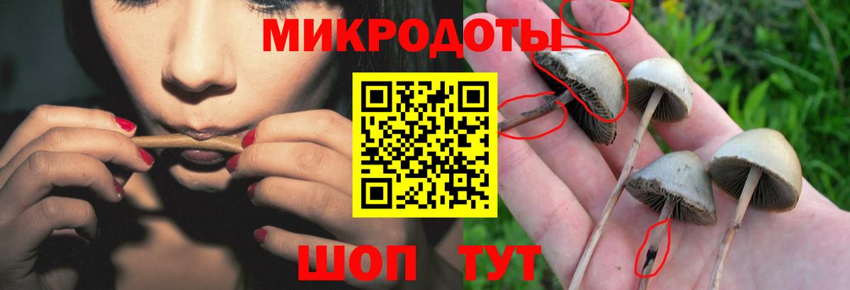 Усть-Илимск  Псилоцибиновые грибы Psilocybe  Вход с VPN 